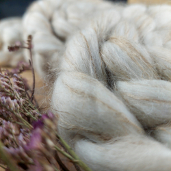 NATURAL wool roving for hand spinning, merino and linen blend